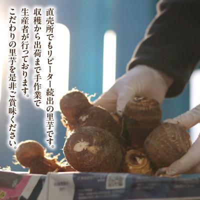 ふるさと納税 西尾市 絶品里芋　〜天晴れ〜　4kg・S067 |  | 03