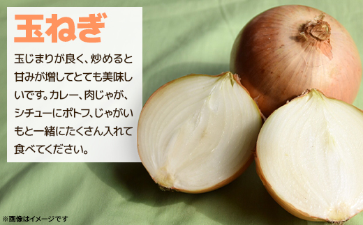 【北海道訓子府町】ゆめいころ(ジャガイモ)5kg+玉ねぎ10kg【配送不可地域：離島・沖縄県】