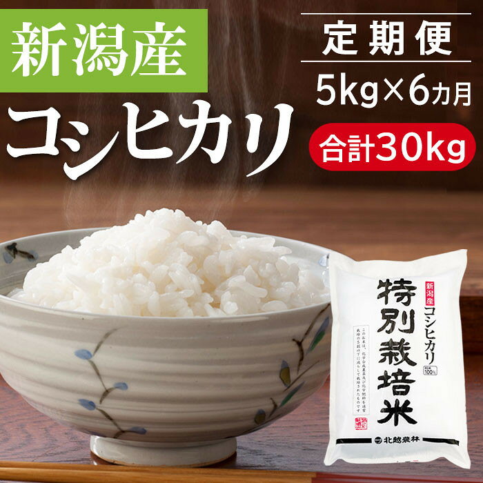 【ふるさと納税】【6カ月定期便】 新潟産コシヒカリ 特別栽培米 5kg×6回（計30kg）