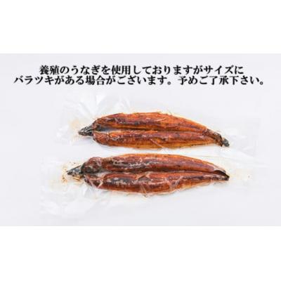 ふるさと納税 新宮町 うなぎの蒲焼4尾&無着色辛子明太子1キロ【ご飯のお供!最強セット】.BF023 |  | 01