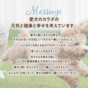 R15009　ドッグフード　無添加　食欲増進4点セット　【犬の手作りごはん】