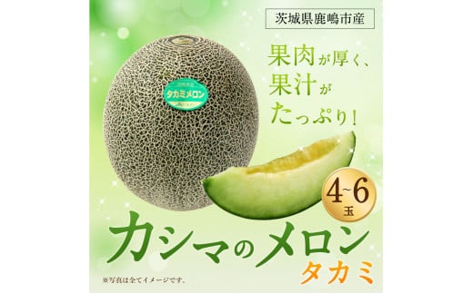 カシマのメロン タカミメロン 4～6玉（KA-13）