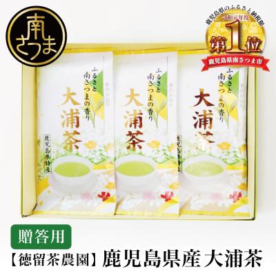 ふるさと納税 南さつま市 鹿児島県産緑茶 大浦茶 一番茶 3本セット(100g×3) [贈答用]