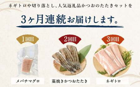 【3回定期便】カツオとマグロ堪能定期便B お楽しみ 切り落とし 刺身 刺し身 鮪 鰹 まぐろ カツオのたたき ネギトロ 海鮮 魚 惣菜 海産物 魚介類 魚貝 高知県 まぐろたたき 冷凍 訳あり 不揃い