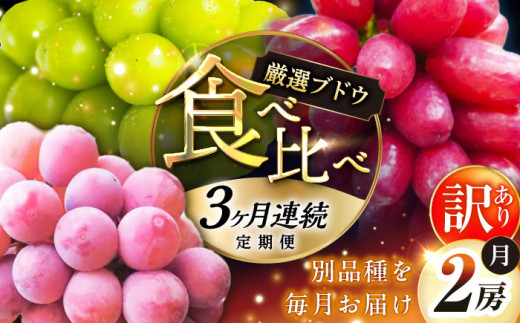 フルーツ【全3回定期便】【2026年先行予約】【30個限定】【自宅用】毎月ぶどうをお届け！イチオシ3品種 各2房  厳選 シャインマスカット マスカット ブドウ ぶどう 葡萄 大粒 季節 夏 限定 優品 果物 フルーツ お取り寄せ 旬 美味しい 毎月お届け 定期便  自宅 家族 クイーンニーナ クイーンセブン 糖度 人気 おすすめ 一押し 定期便 島根県雲南市/ギアファーム [AIAB011]
