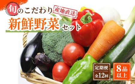  野菜セット定期便 　旬の新鮮野菜 8種以上 全12回やさい 印南町 人気