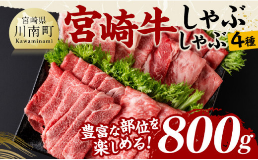 宮崎牛しゃぶしゃぶ食べ比べ4種盛 合計800ｇ【 肉 牛肉 国産 黒毛和牛 宮崎牛 すき焼き しゃぶしゃぶ 焼きしゃぶ 食べ比べ 宮崎県 川南町 】