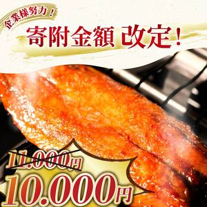 旨辛明太風さんま味醂干し 3枚入×5袋 ごはん 夕飯 おかず おつまみ 晩酌 海産物 海鮮 魚介類 大船渡 三陸 岩手県 国産