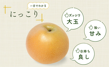 【先行予約 数量限定】梨 にっこり 約3kg 6玉～12玉 | 梨 梨 梨 梨 梨