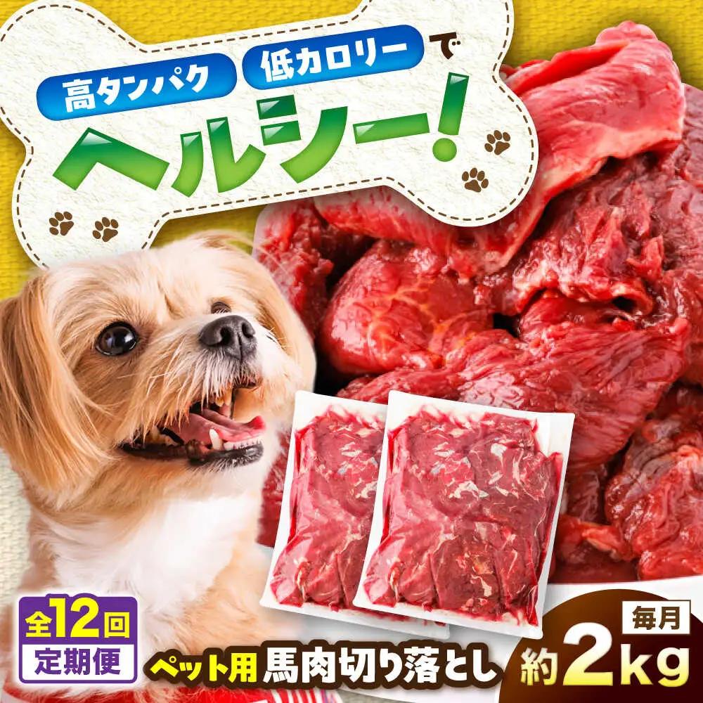 【全12回定期便】国内加工 ペット用 馬肉 切り落とし 約2kg ペットフード ペットフード  BHCY060