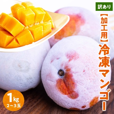 【先行受付】「訳あり」加工用冷凍マンゴー1キロ(2～3玉)/沖永良部島産