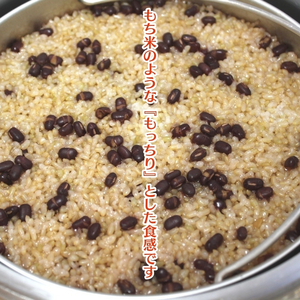 玄米ごはん 長岡式 酵素玄米 冷凍 玄米ごはん【125g×8個】