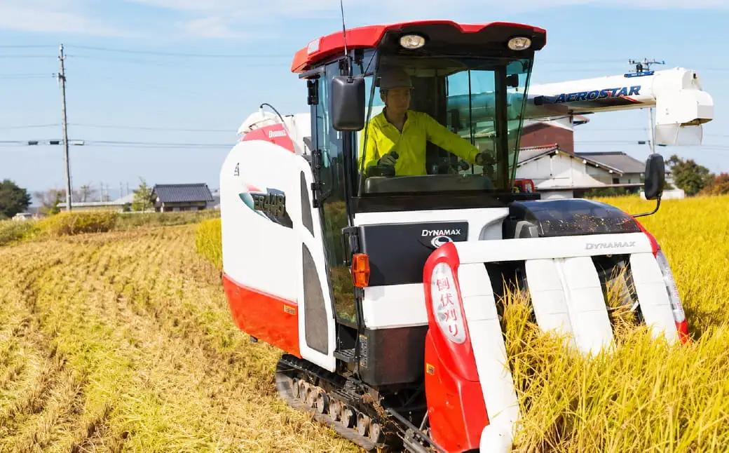 【R8年産】新米 久万高原町 清流米 こしひかり 10kg｜特別栽培米 減農薬 減化学肥料 コシヒカリ 白米 愛媛県産 米 ※2026年9月～発送