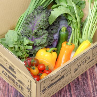 ふるさと納税 宇都宮市 農産直売所あぜみち 新鮮野菜詰め合わせ