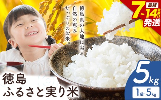 ＼7~14営業日以内に発送／もちもち美味しい！ 徳島ふるさと実り米 精米 5kg 徳島県 上板町 お米 米 白米