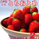 【ふるさと納税】 先行予約 いちご とちおとめ 小玉 約2kg （250g × 8パック） 千葉県 銚子市 松岸 神原いちご園 小玉 とちおとめ 約2kg イチゴ 苺 こだわり 人気 小さいサイズ 食べやすい 果物 ストロベリー ジャム 朝摘み 採れたて 新鮮 産直 安心安全 千葉県 銚子市