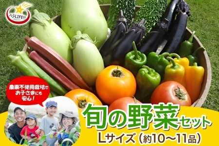 旬の野菜セット Lサイズ 約10~11品 農家直送 栽培期間中農薬不使用