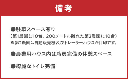 ブルーベリー狩り 80分食べ放題 ペアチケット 大人2名様 ブルーベリー 体験チケット[AEBZ008]