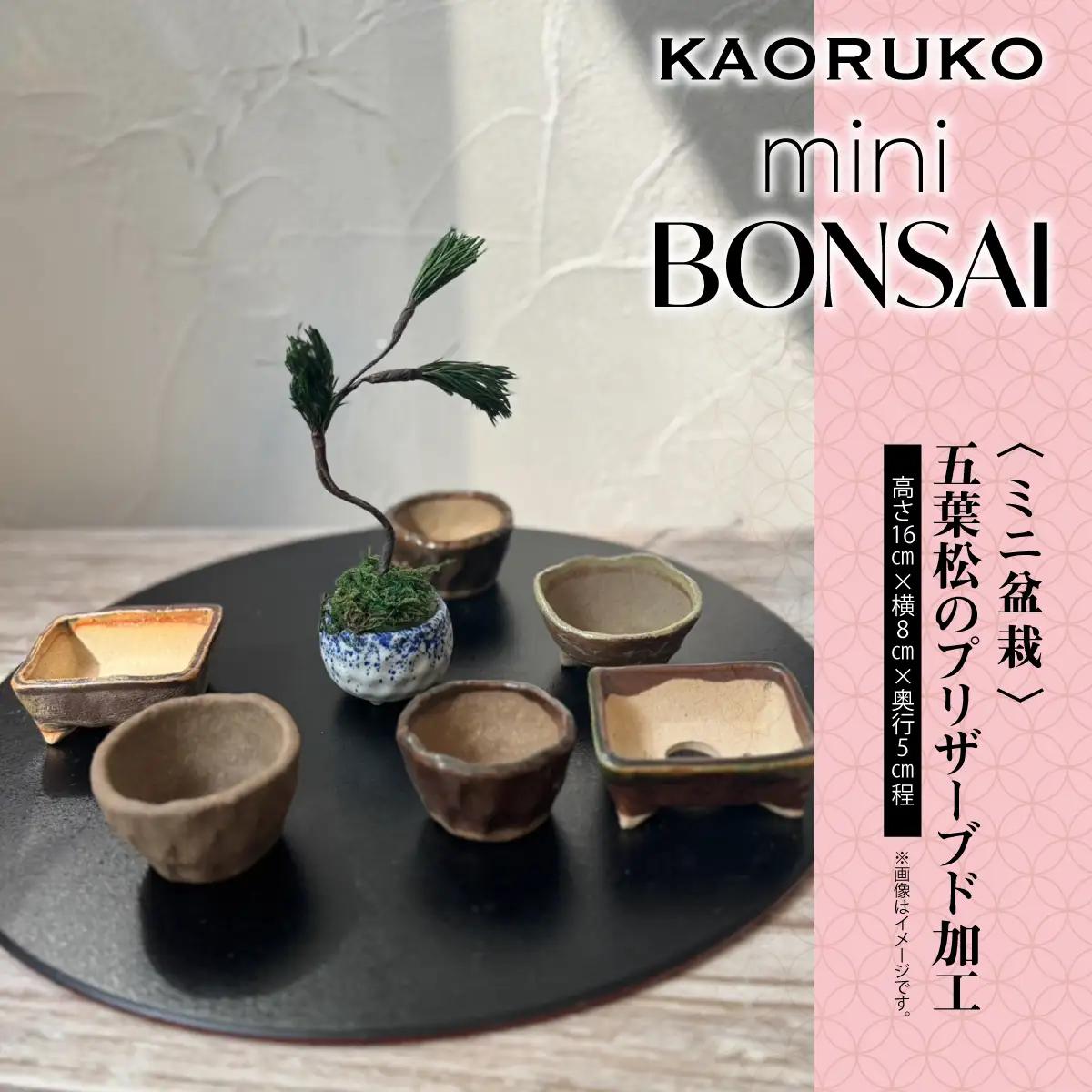 KAORUKO mini BONSAI KBO006