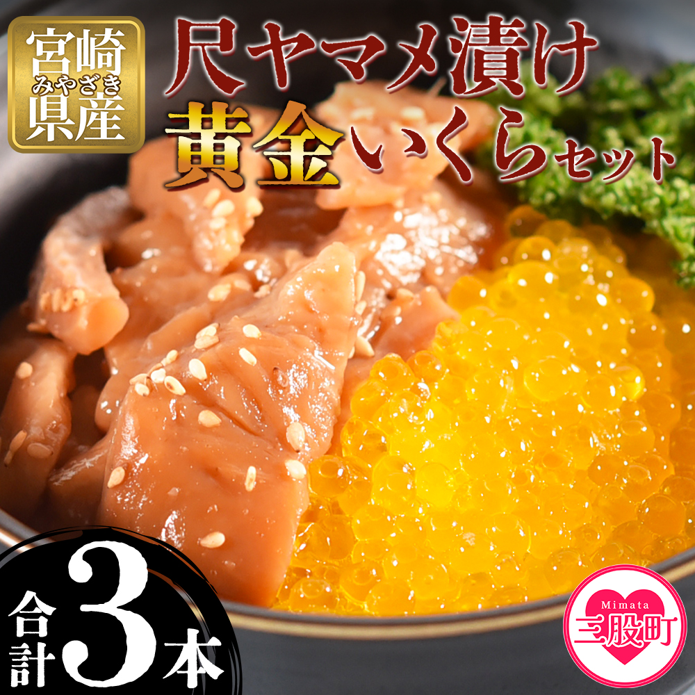 ＜幻の尺ヤマメ漬け黄金イクラセット＞(合計3本) 幻の尺ヤマメ漬け(約70g×2本),黄金イクラ(約80g×１) 国産 九州産 宮崎 いくら 魚卵 ヤマメ ヤマメ漬け 詰め合わせ 敬老の日 ギフト のし対応可能 贈答用 贈り物【A-0201-sk】【有限会社しゃくなげの森】
