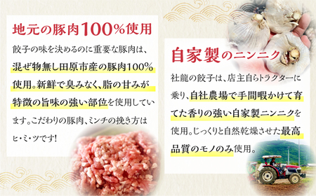 訳あり 無添加 手造り 餃子 50個入 絶品 こだわり タレ付き 国産 鍋 のトッピング 簡易包装 小分け お手軽 簡単調理 健康志向 ニンニク にんにく 一万円 10000円