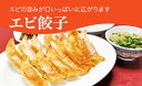 【ふるさと納税】「宇都宮餃子館」エビ餃子 960g（48個）｜ギョーザ 冷凍餃子 冷凍食品 グルメ 食品 惣菜 中華惣菜 点心 中華 送料無料