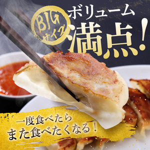 【定期便6回】たじまや オリジナル ビッグ 餃子  60個 