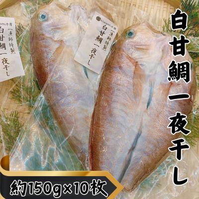 ふるさと納税 湖西市 【遠州灘産】白甘鯛の一夜干し　約150g×10枚