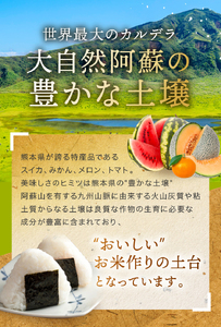 令和7年産 熊本県産 森のくまさん 白米 10kg | 小分け 5kg × 2袋  熊本県産 こめ 米 白米 ごはん 銘柄米 ブランド米 単一米 人気 日本遺産 菊池川流域 こめ作り ごはん ふるさと