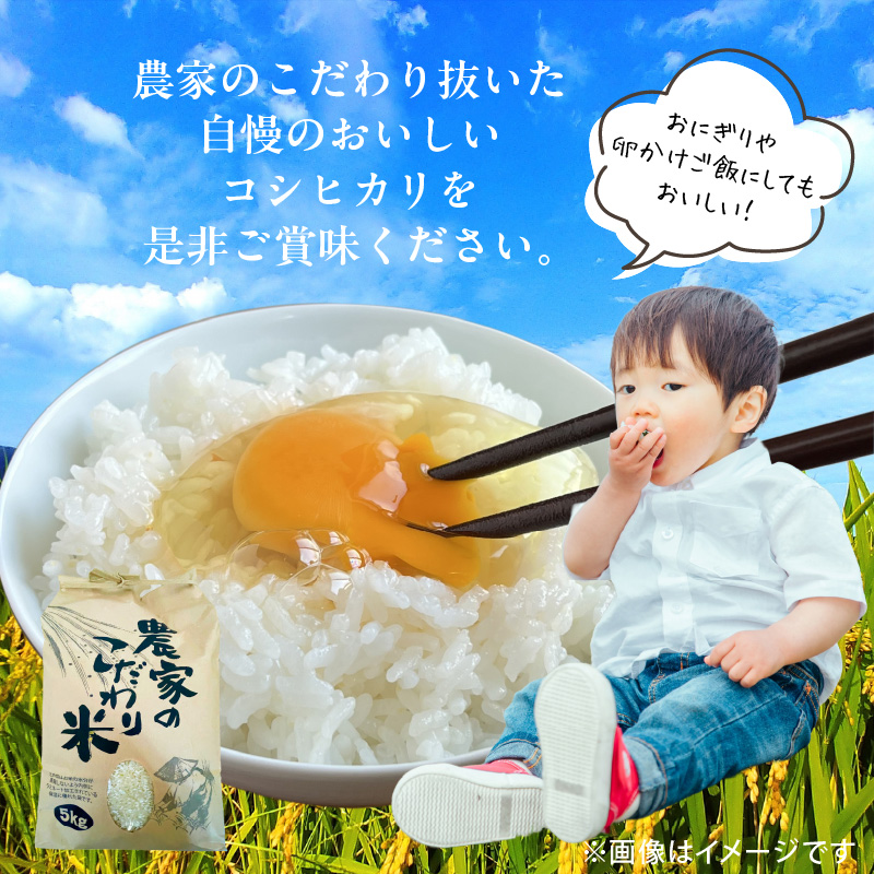 【先行受付】令和8年産　上毛町産　東農園のこだわり米　コシヒカリ　5kg HGS0207