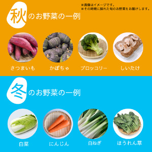 【定期便6回】【産地直送】旬のお野菜詰め合わせ 6～8種類 ( 京野菜 野菜 お野菜 やさい セット 野菜セット 詰め合わせ 詰め合わせセット 季節 旬 旬野菜 産地直送 栄養 安心 新鮮 おすすめ 