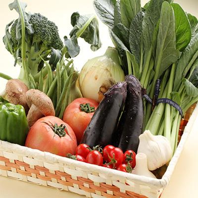 ふるさと納税 印南町 【毎月定期便】旬の新鮮野菜セット 8種以上(和歌山産)全12回 |  | 01