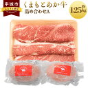 【ふるさと納税】くまもとあか牛 切り落とし ハンバーグ 詰め合わせA 合計約1.25kg あか牛 牛肉 和牛 赤身肉 肉 切落し 手こね セット 詰め合わせ 国産 九州産 熊本県産 食品 冷凍 送料無料