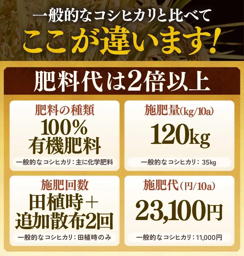【先行予約】【令和8年産 新米】コシヒカリ 精米 5kg×2袋（計10kg） 特別栽培米 農薬不使用 化学肥料不使用 ／ 残留農薬ゼロ 高品質 鮮度抜群 福井県産 ブランド米 白米 ※2026年9月下