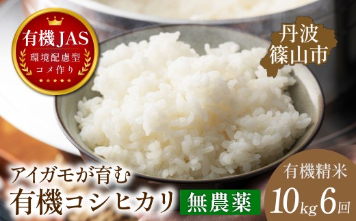 〈定期便 令和８年産早期予約〉10kg×6回 有機JAS認証 アイガモが育む コシヒカリ 精米 計60kg｜兵庫県 丹波篠山市産 白米 米 コメ こめ こしひかり 有機栽培 農家直送