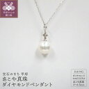 【ふるさと納税】 ペンダント ネックレス ジュエリー レディース アクセサリー ダイヤモンド 0.05ct あこや真珠 8～8.5mm珠 K18 ホワイトゴールド ジュエリーケース付 鑑別書付 保証書付 k072-038