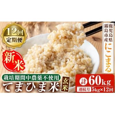ふるさと納税 霧島市 12回定期《R7年産新米》てまひま米・玄米(品種:にこまる)(計60kg)【末蜜農園】K-391-G