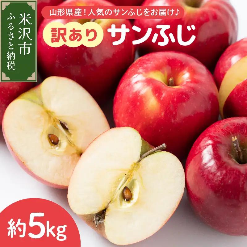 【先行予約】 令和8年産 訳あり りんご サンふじ 約5kg