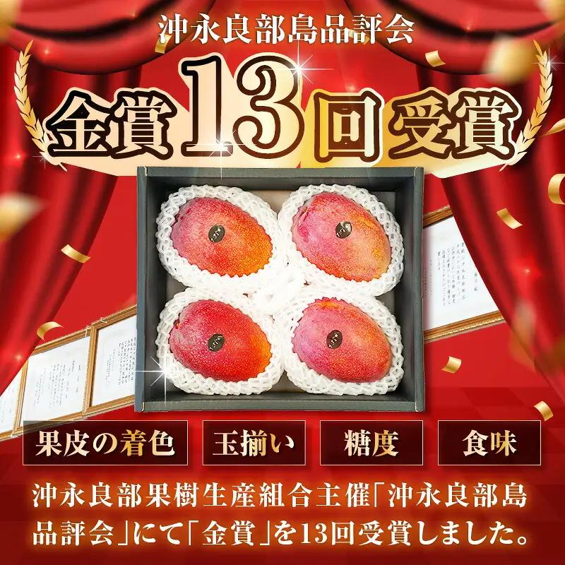 【 2027年 先行予約 】 訳あり 田中マンゴー園 完熟 アップル マンゴー 約 2kg（ 4～8玉 ）（ ご家庭用 ） W001-008u わけあり 果物