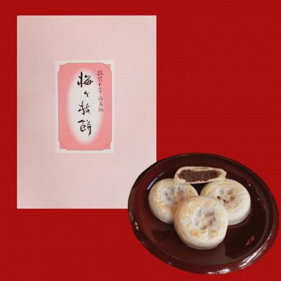 ふるさと納税 太宰府市 【太宰府名物】梅ヶ枝餅 10個入り |  | 01