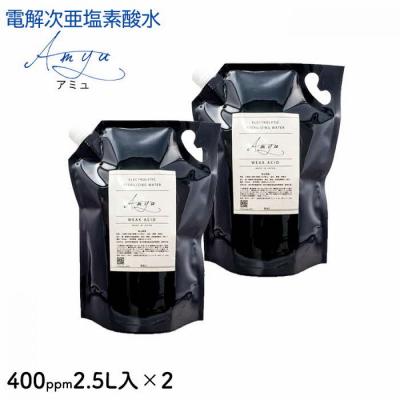 ふるさと納税 出雲市 電解次亜塩素酸水　400ppm　【2.5L   2個セット】　除菌・消臭