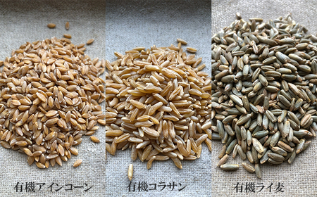 薪窯パン 有機古代小麦3種を使用したこだわりパン 有機古代小麦セレクションB 【 農家パン VERUM 】 ／ パン ぱん ブレッド ベーカリー 古代小麦 薪窯 薪窯焼き 薪窯焼 石窯パン 石窯 卵不