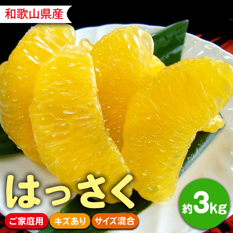 和歌山県 由良町産 はっさく 約3kg  ご家庭用 キズあり サイズ混合