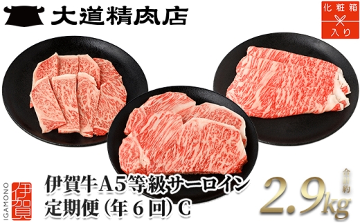 【年6回】伊賀牛 A5サーロイン 定期便コースC 総合計約2.9kg【dido-tkb0011】