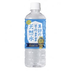 黒部のそのまま天然水500ml×24本