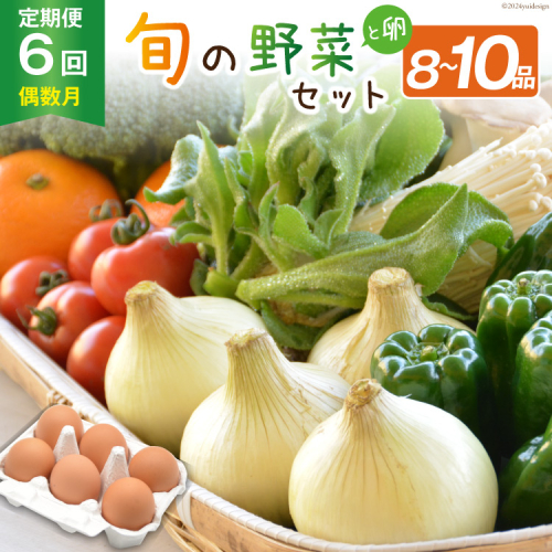 【6回偶数月コース】雲仙のめぐみ 旬の野菜セット (S)【卵6個付き】 8～10品目セット [長崎県農産品流通 長崎県 雲仙市 item1573] 野菜 定期 野菜セット フルーツ 果物 くだもの 卵 たまご