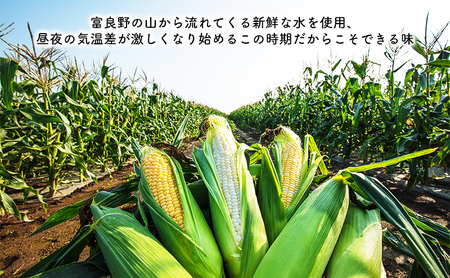 【2024年8月～発送】北海道 富良野市 とうもろこし 食べ比べ サニーショコラ 黄色 ＆ ホワイトショコラ 白色 L～2L サイズ 計5kg ふらの 野菜 トウモロコシ とうきび 数量限定 (フラノ