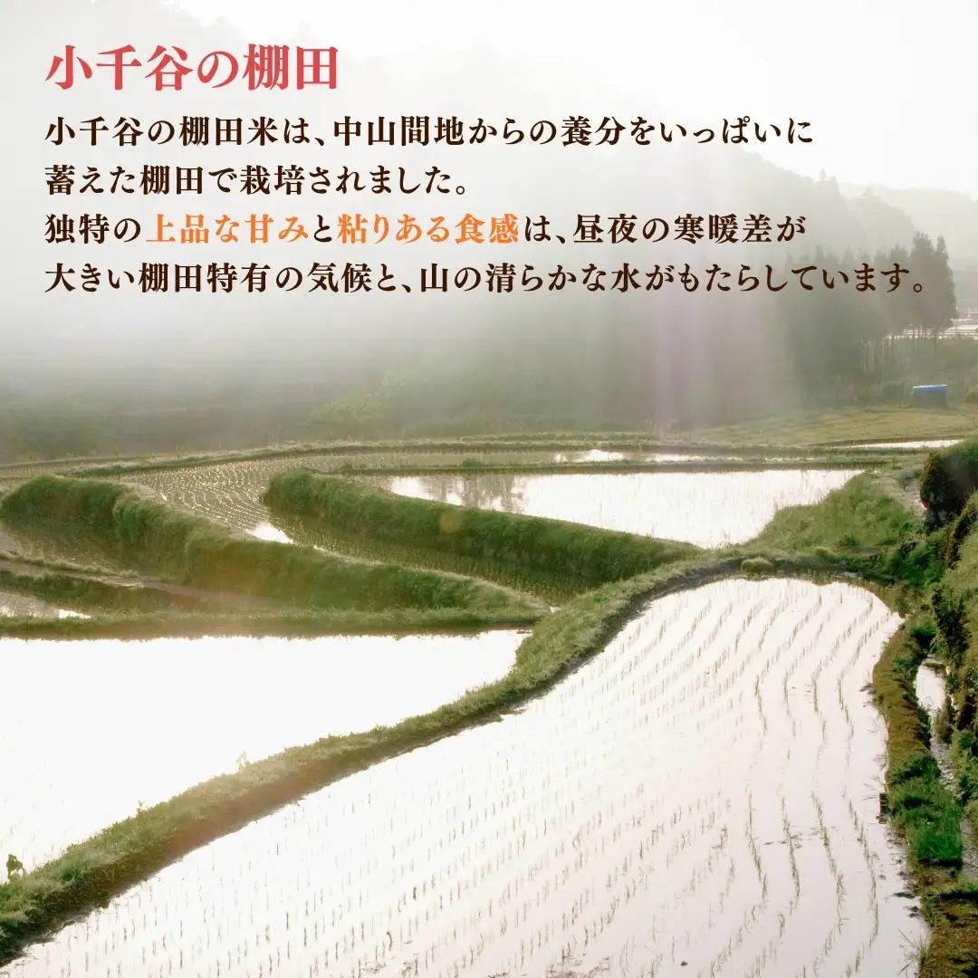 魚沼産コシヒカリ 10kg 棚田米コンテスト入賞者が栽培 | 新潟県 魚沼 米