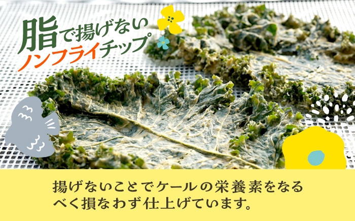 やみつきケールチップス（※ひと口大にカットしてあります。）