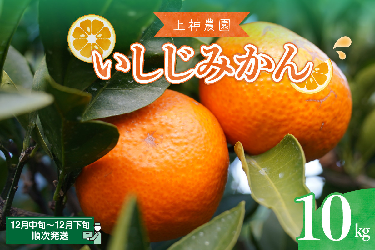 
                  【先行受付】【12月中旬～発送】上神農園のいしじみかん 約10kg ku011-016-26
                